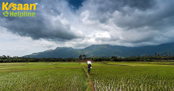 अगस्त में मानसून की अच्छी प्रगति से बम्पर खरीफ की फसल की उम्मीद बढ़ गई है